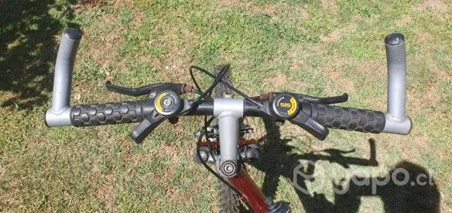 Bicicleta Bianchi Aro 20, doble cambio - Imagen 3
