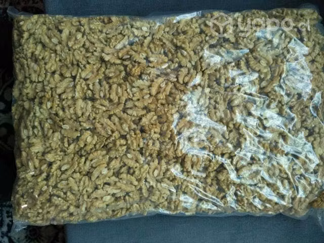 Nuez mariposa exportacion 2022 - Imagen 3