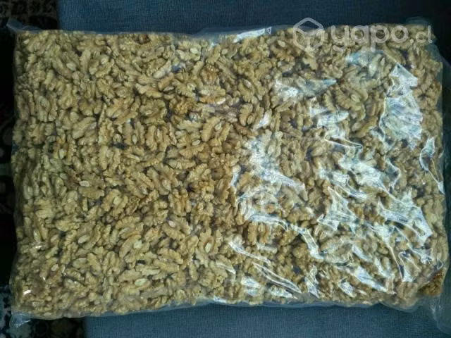 Nuez mariposa exportacion 2022 - Imagen 2