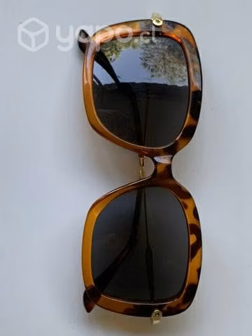 Lentes de sol