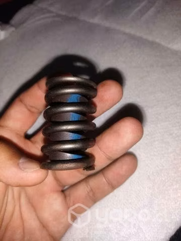 Resortes V8 GM