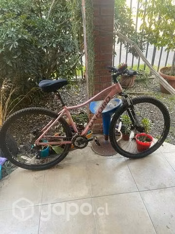 Bicicleta Oxford Venus aro 29