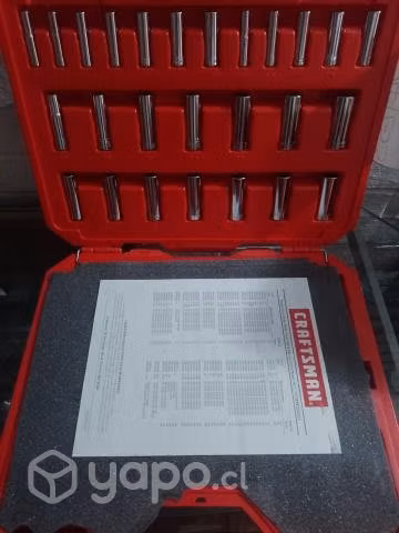 Craftsman set profesional