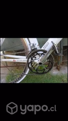 Trek equinox - Imagen 6