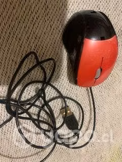 Mouse