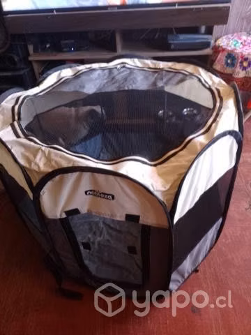 Pack de perrito