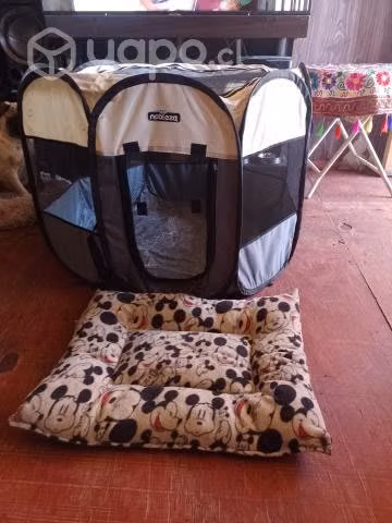 Pack de perrito
