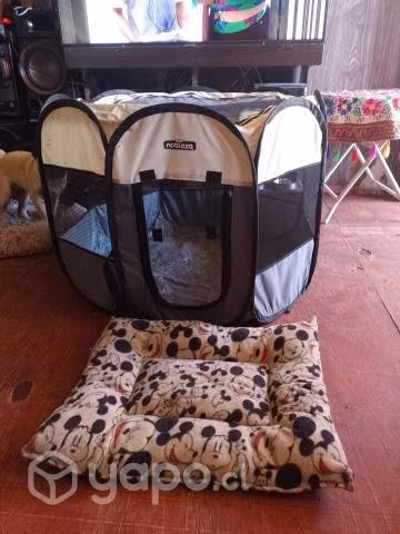 Pack de perrito