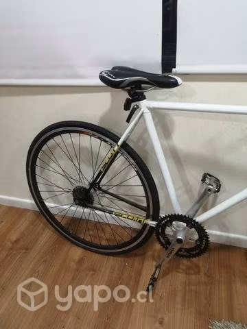 Bicicleta media pista