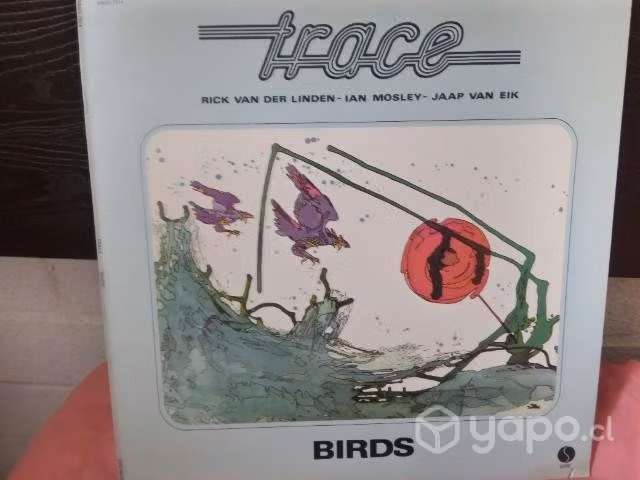 Trace birds vinilo