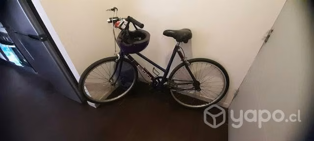 Bicicleta de paseo