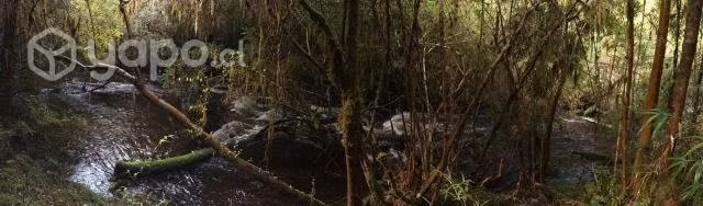 Terreno en dalcahue - Imagen 11