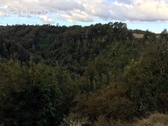 Terreno en dalcahue - Imagen 6