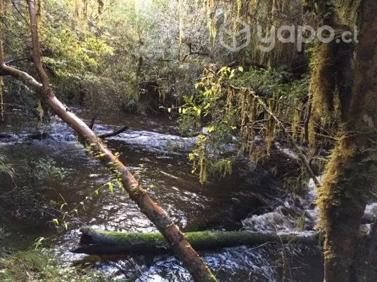 Terreno en dalcahue - Imagen 10