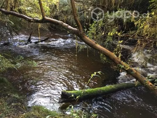 Terreno en dalcahue - Imagen 14