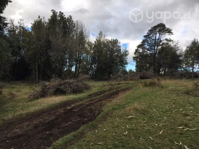 Terreno en dalcahue - Imagen 3