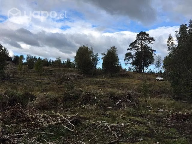 Terreno en dalcahue - Imagen 2