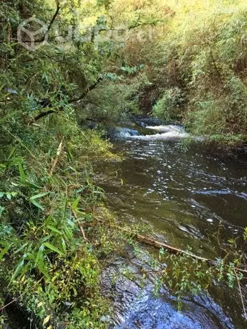 Terreno en dalcahue - Imagen 13
