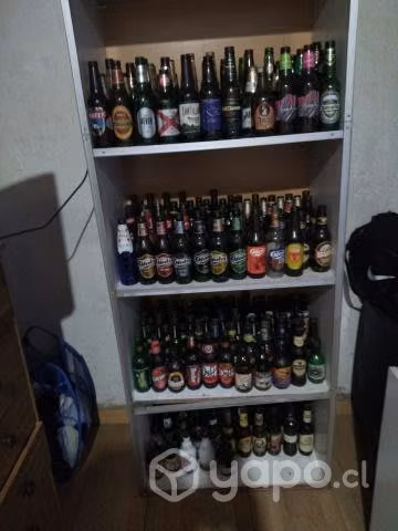 Colección de más de 250 envases de cerveza