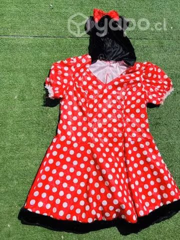 Disfraz de Minnie