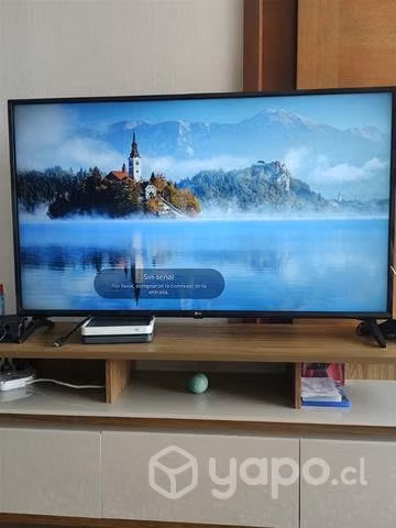 TV LG Modelo 49UJ6300-SA 49 pulgadas UHD
