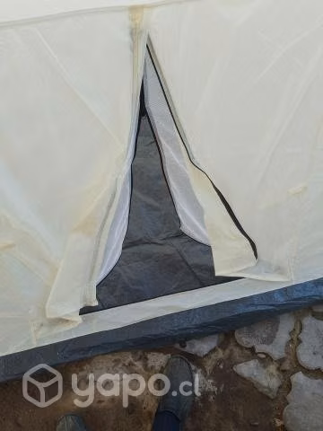 Carpa
