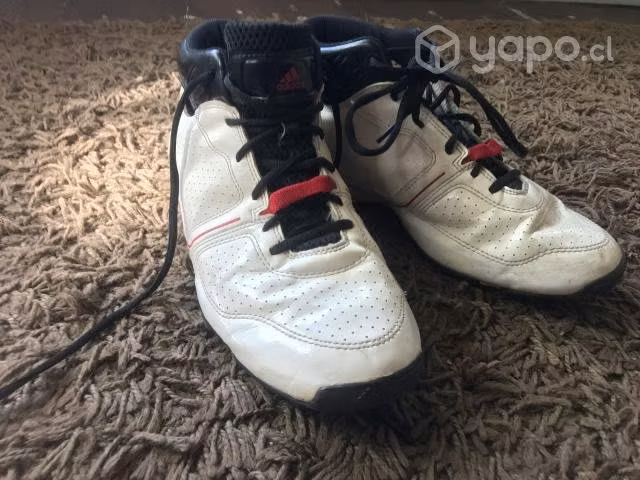 Zapatillas de basketball