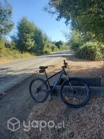 Bicicleta bianchi aro 29 talla L