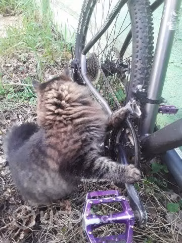 Bicicleta oferta al 20-10-2022