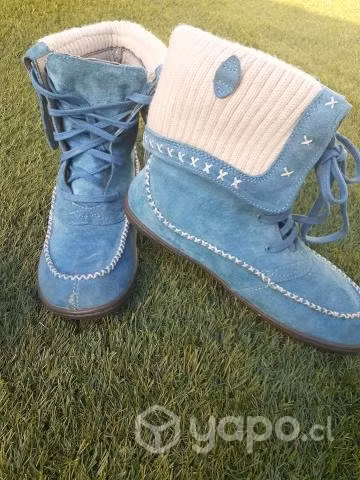 Botin cat
