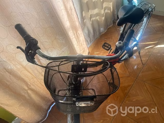 Bicicleta de pseo