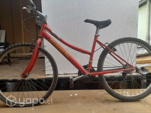 Bici Bianchi - Imagen 2