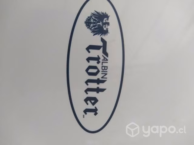 Termo eléctrico
