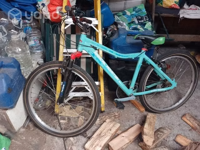 Bicicleta