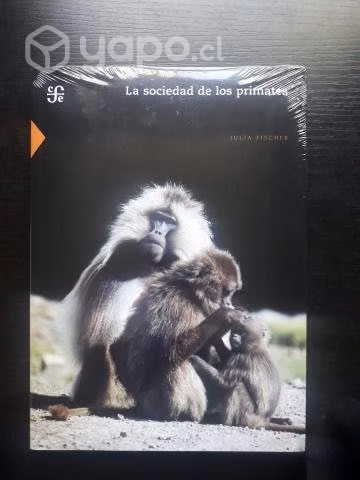 La Sociedad De Los Primates / Julia Fischer