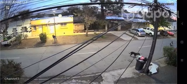 Cámaras de seguridad alarmas cerco eléctrico - Imagen 4