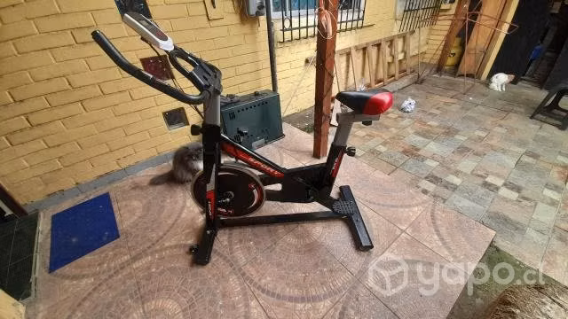 Spinning usada como nueva