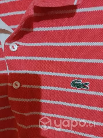 Polera Lacoste