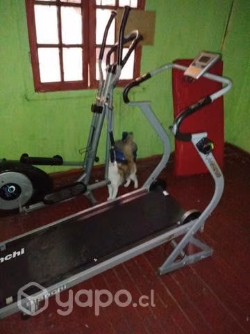 Caminadora bianchi - Imagen 3