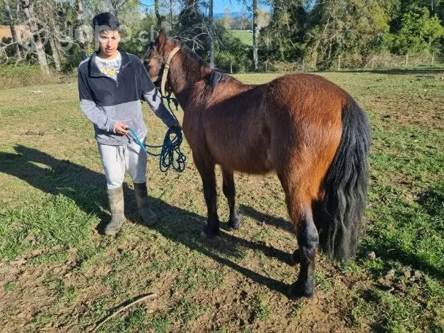 Caballito