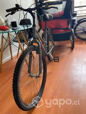 Bicicleta oxford