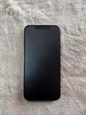 iPhone 12,