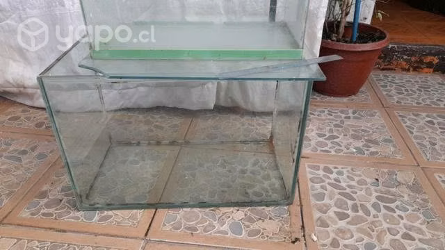 Peceras