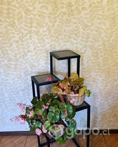 Soporte para plantas