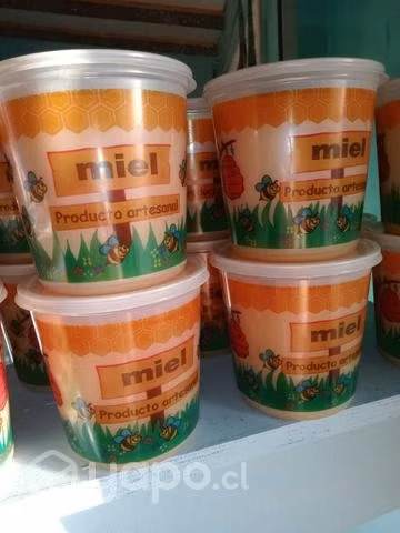 Miel de hulmo y multifloral