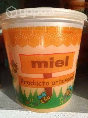 Miel de hulmo y multifloral - Imagen 3