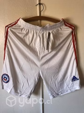 Short Seleccion Chilena
