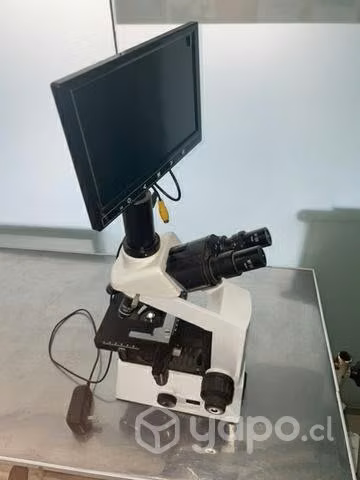 Microscopio profesional