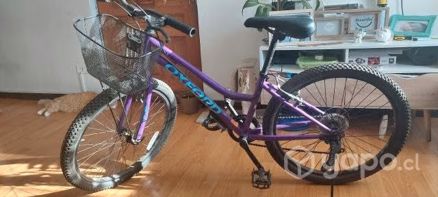 Bicicleta Oxford Luna aro 24
