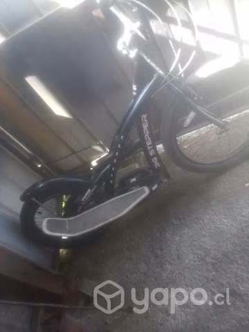 Bicicleta